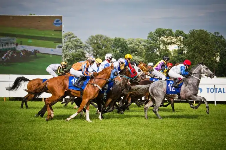 Teren na którym odbywają się gonitwy konne - najważniejsze hipodromy w Polsce