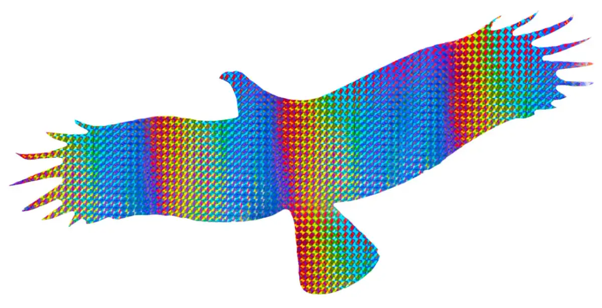 Naklejki na szyby: Co działa, a co jest mitem w ochronie ptaków?