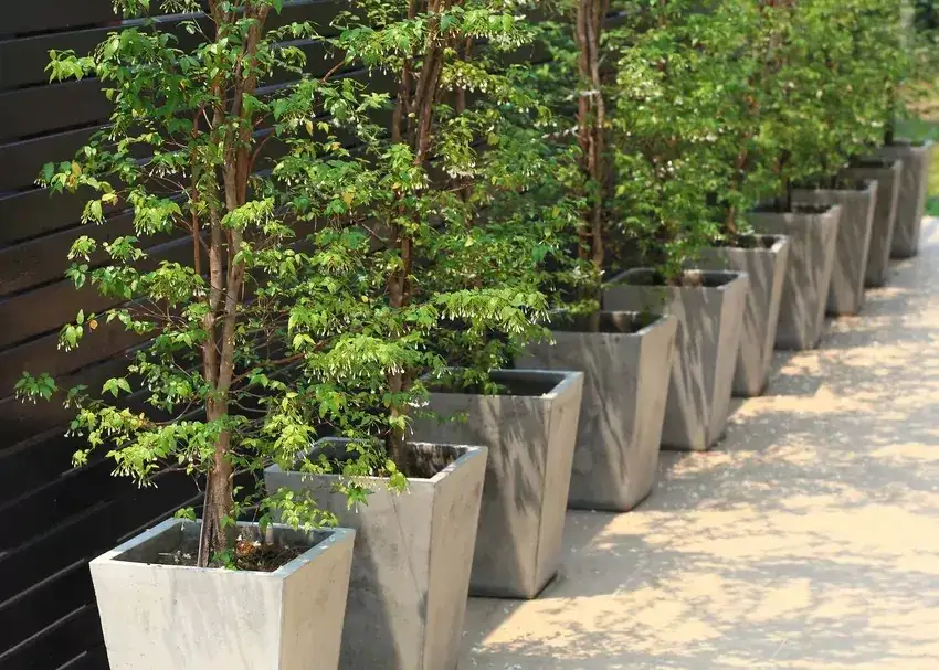 Jak zrobić donice z cementu – prosty poradnik dla początkujących i efektowne pomysły