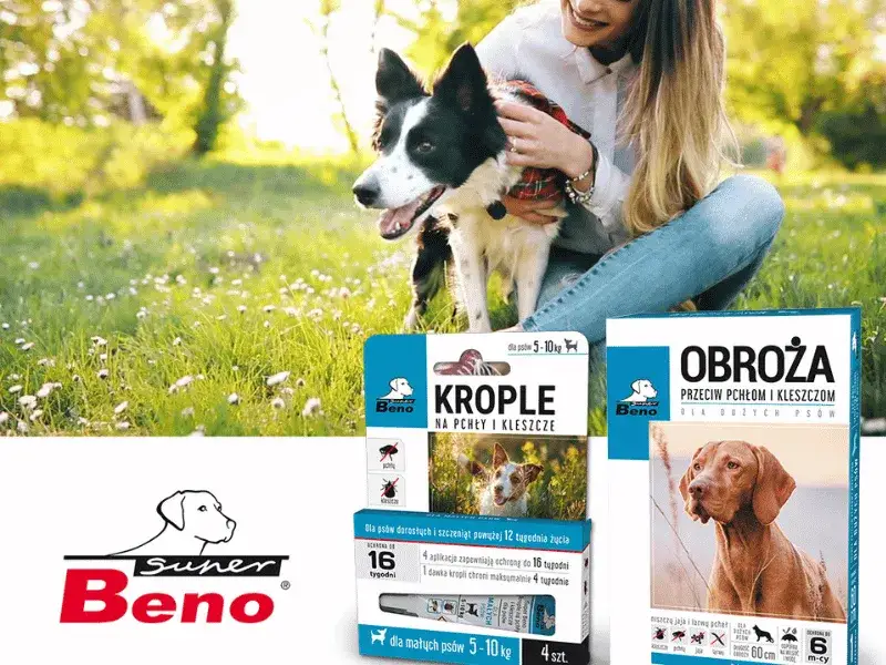 Jak działają obroże przeciw kleszczom i dlaczego warto je stosować