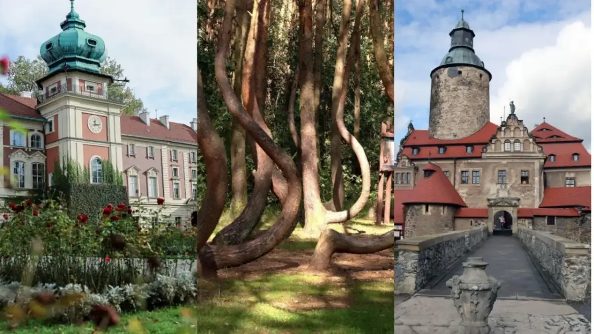 Atrakcje w Lubaczowie, które musisz zobaczyć - poznaj ukryte skarby