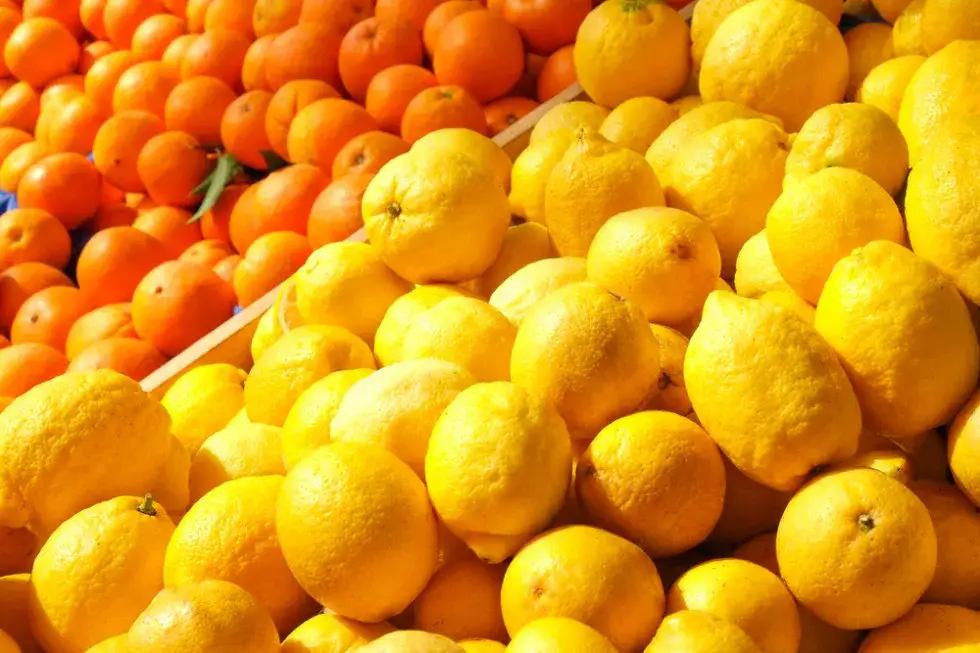 Kiedy jest sezon na cytryny w Polsce? Sprawdź najlepszy czas na zakupy