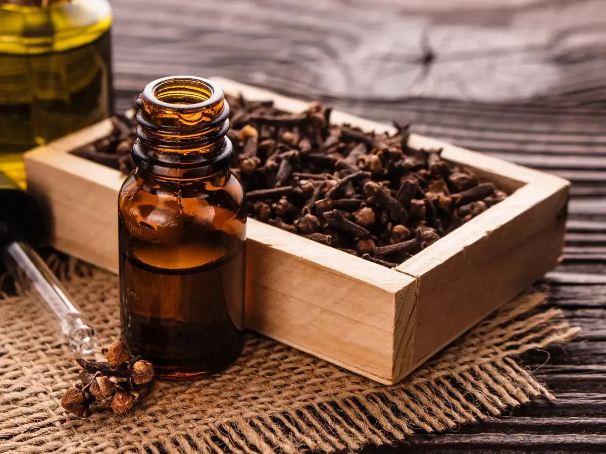Butelka z olejkiem goździkowym, drewniana skrzynka z goździkami i pipeta na płótnie.