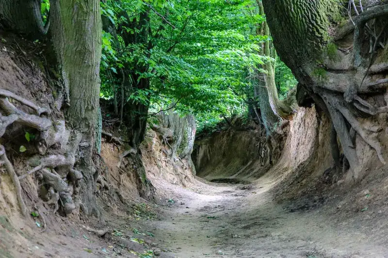 Najciekawsze atrakcje w Kazimierzu Dolnym, które musisz zobaczyć