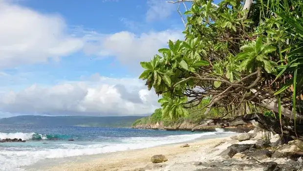 Wyspa Bożego Narodzenia: Gdzie leży? Raj krabów i nurków!