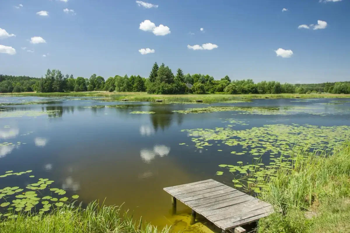 Jezioro Swarzędzkie: piękne miejsce na relaks i aktywności na świeżym powietrzu