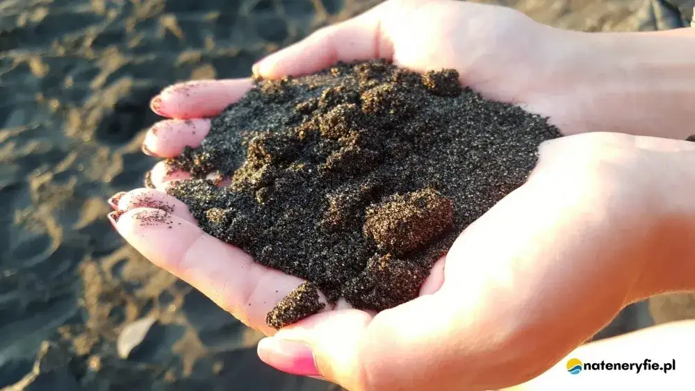 Kanaryjskie pułapki: Czego nie wywozić, by uniknąć kar na lotnisku?