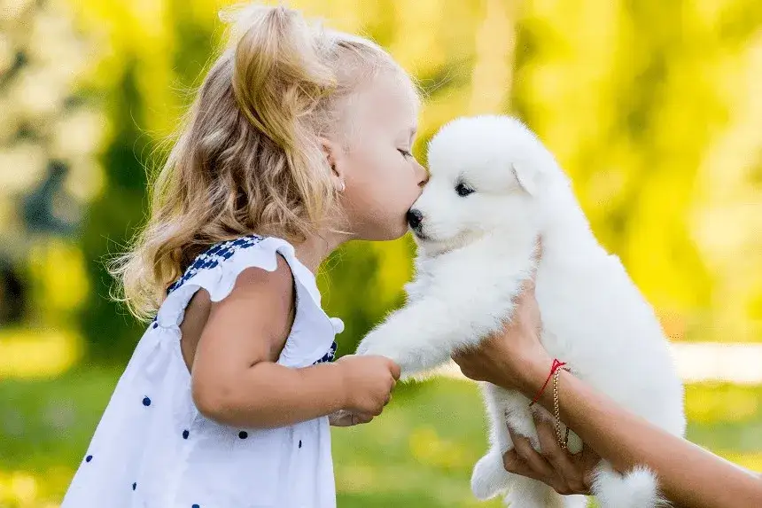 Jaka rasa psa dla dziecka? Wybierz najlepszego towarzysza dla malucha
