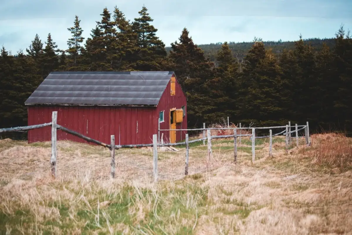 Jakie kary grożą za mieszkanie w budynku gospodarczym bez zgody?