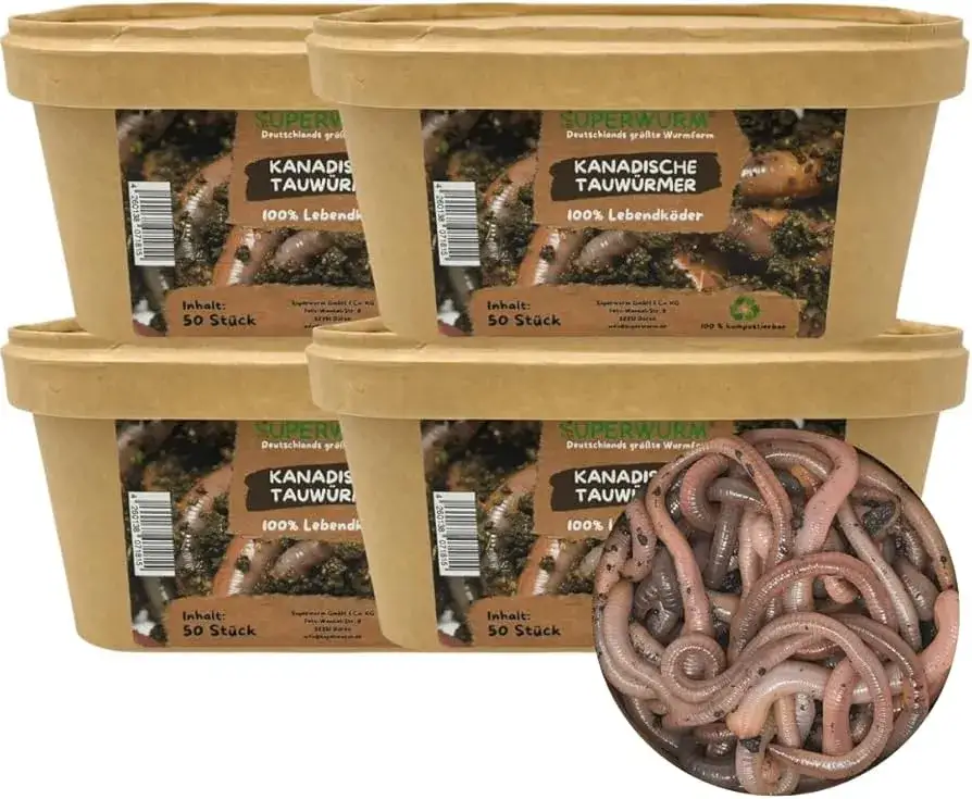 Ile kosztują robaki na ryby? Ceny i porównania różnych gatunków