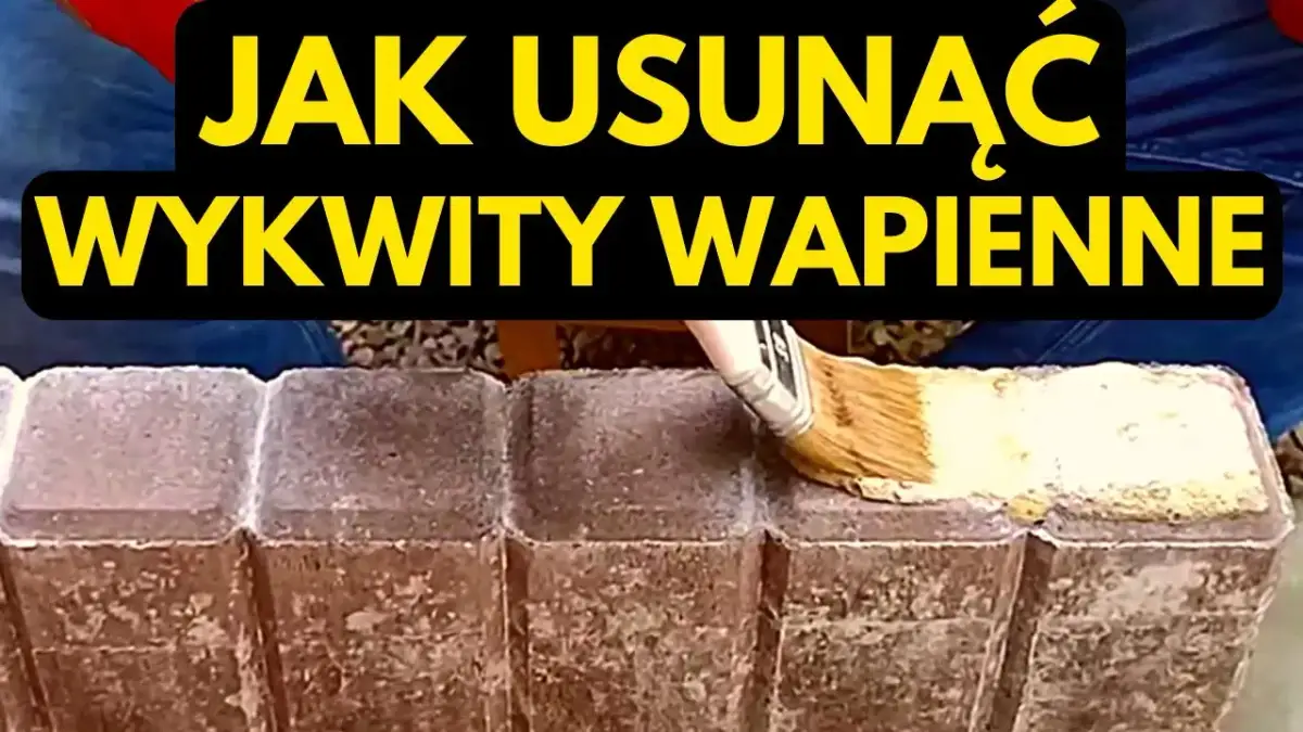 Czysty klinkier na tarasie? Poradnik: jak usunąć mech, wykwity i brud!