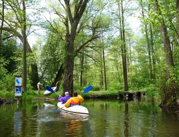 Warmia i Mazury kajakiem: Najpiękniejsze szlaki i praktyczny poradnik