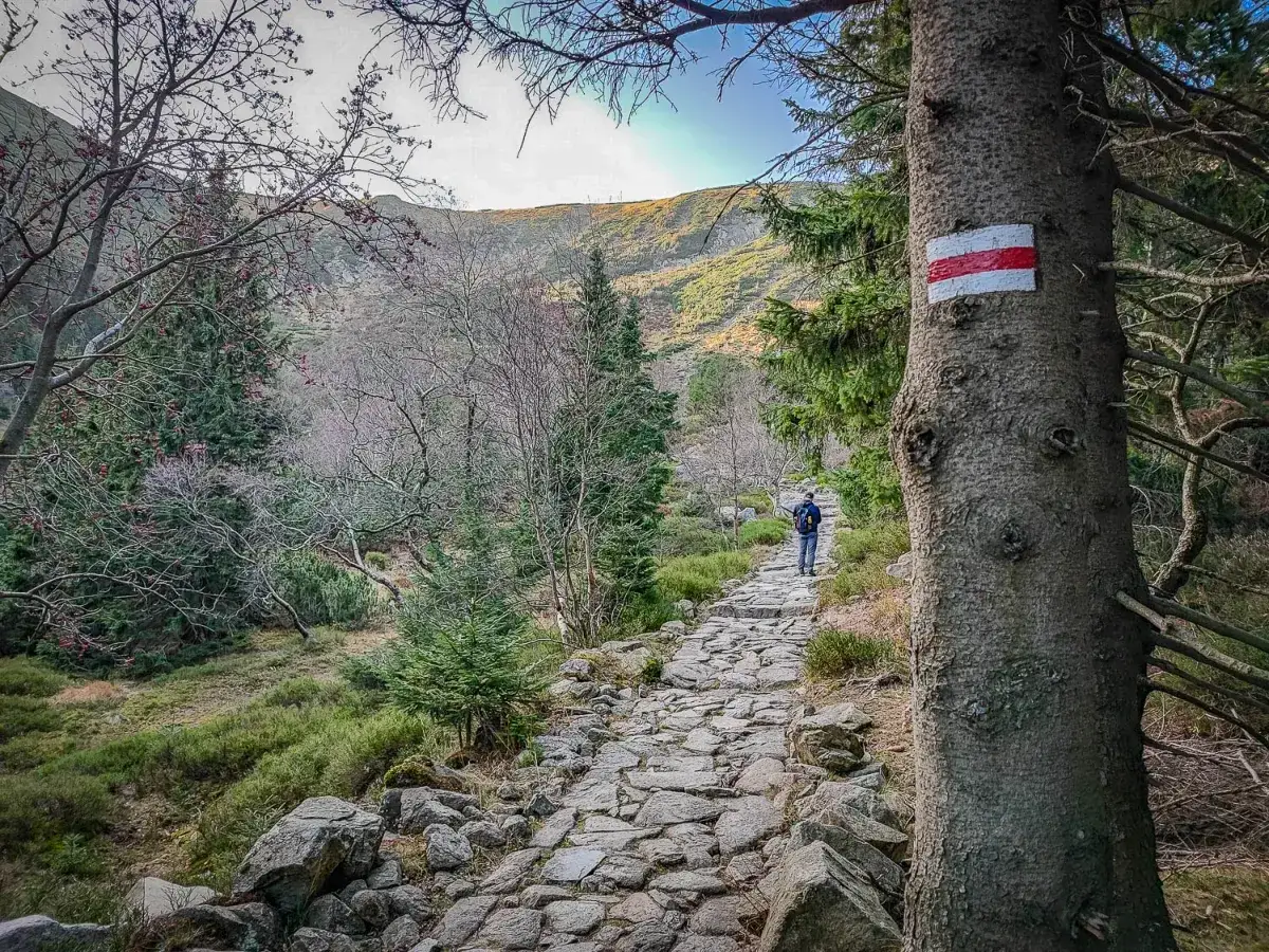 Który szlak na Śnieżkę jest najtrudniejszy? Kocioł czy Czarny?