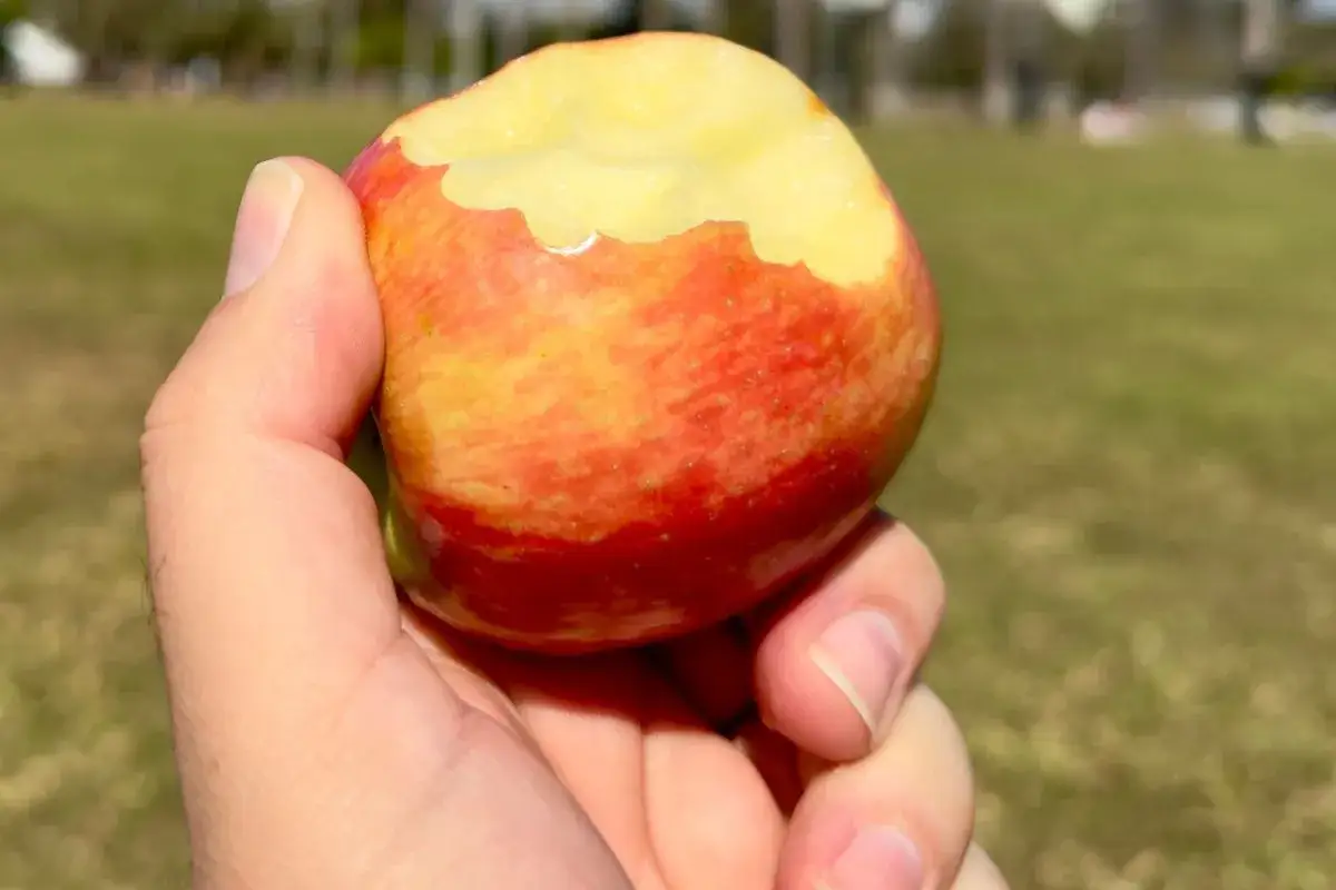Ręka trzyma nadgryzione jabłko. Idealne na jabłko na czczo, by zacząć dzień od zdrowej przekąski na świeżym powietrzu.