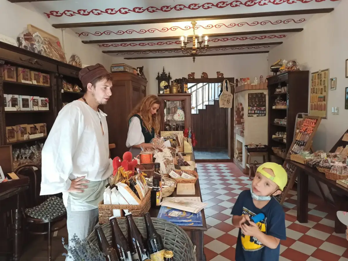 Toruń: Przewodnik po atrakcjach, muzeach i piernikach. Zaplanuj wyjazd!