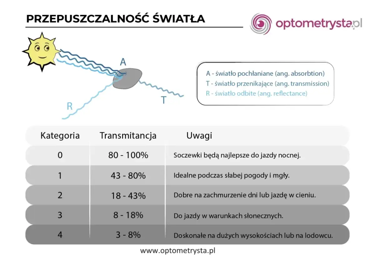 Jak daleko widzi gołąb? 340° wzroku i UV poznaj prawdę
