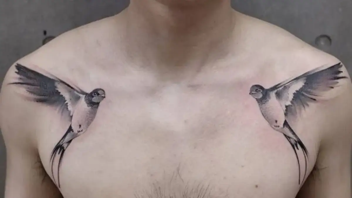 Czego symbolem jest jaskółka? Odkryj jej głębokie znaczenie