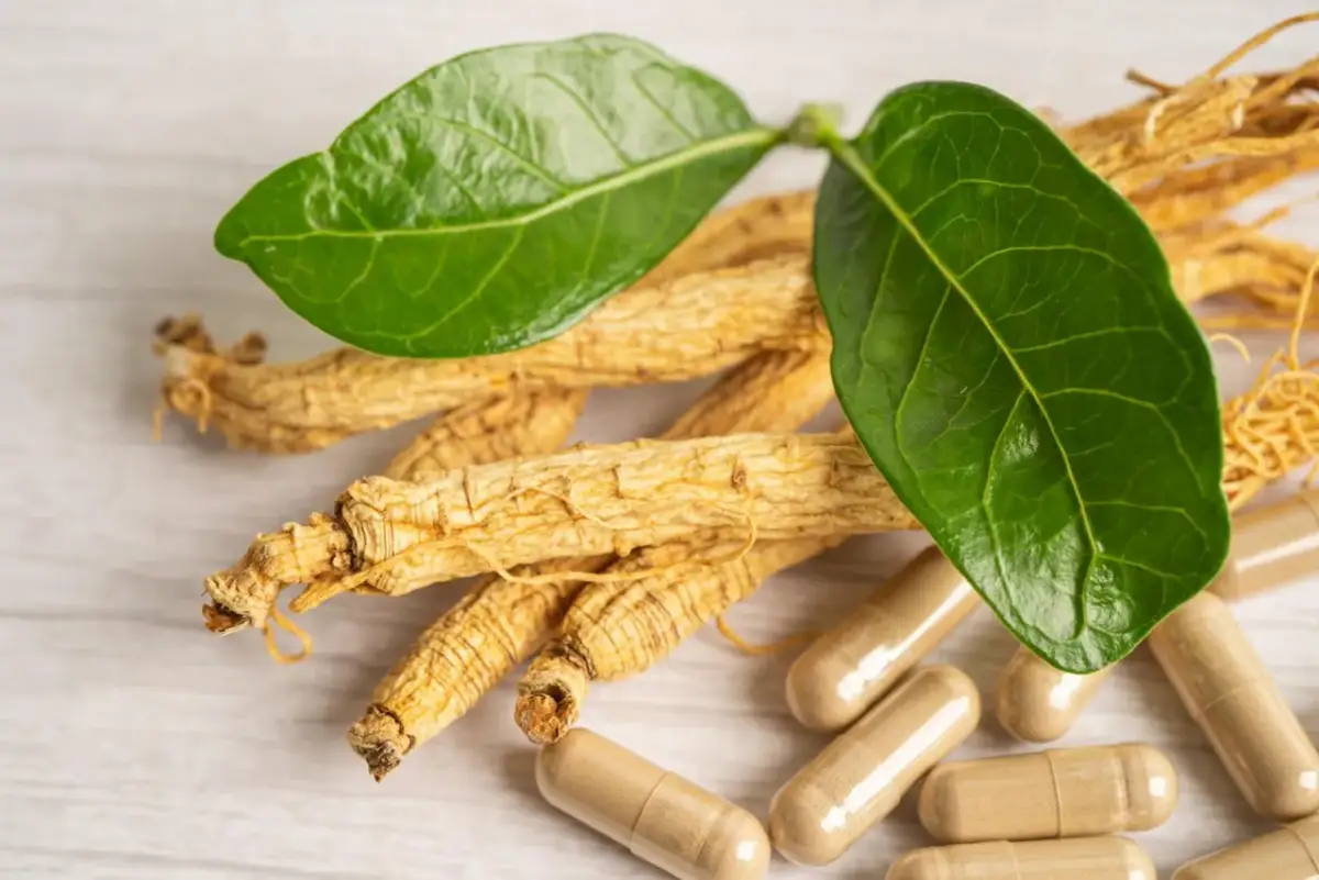 Korzeń żeń-szenia i kapsułki. Dowiedz się, co to adaptogeny i jak mogą wspierać organizm.