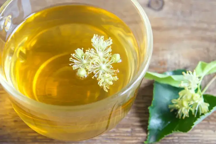 Napar z lipy na co? Odkryj jego niezwykłe właściwości zdrowotne