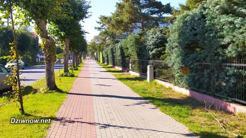 Komary nad morzem: Czy zrujnują Twój urlop? Sprawdź!