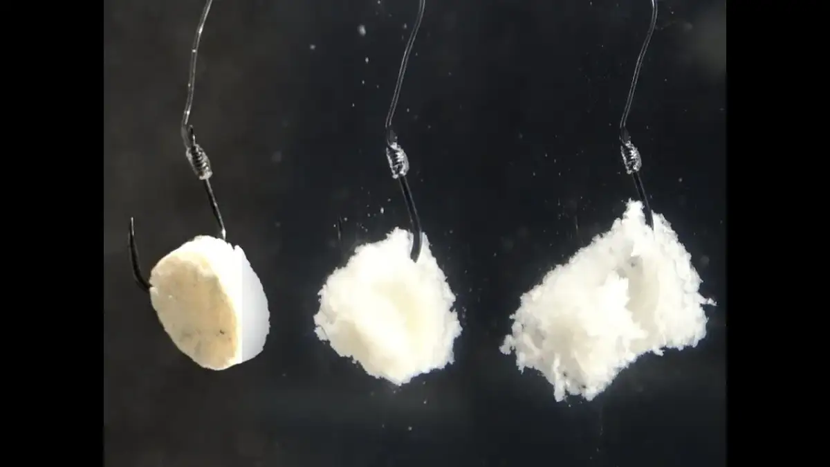 Jak założyć chleb na haczyk, aby nie spadł podczas wędkowania