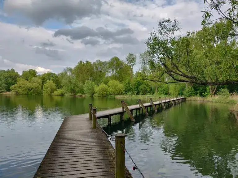 Najlepsze atrakcje w Brunszwiku, które musisz zobaczyć podczas wizyty
