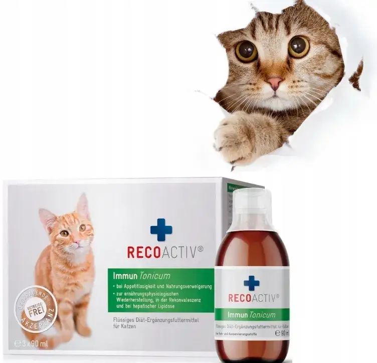 Jakie suplementy dla kota mogą poprawić jego zdrowie i samopoczucie?