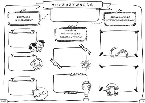 Zajęcia wyrównawcze z biologii w klasie 5 – jak pomóc uczniom?