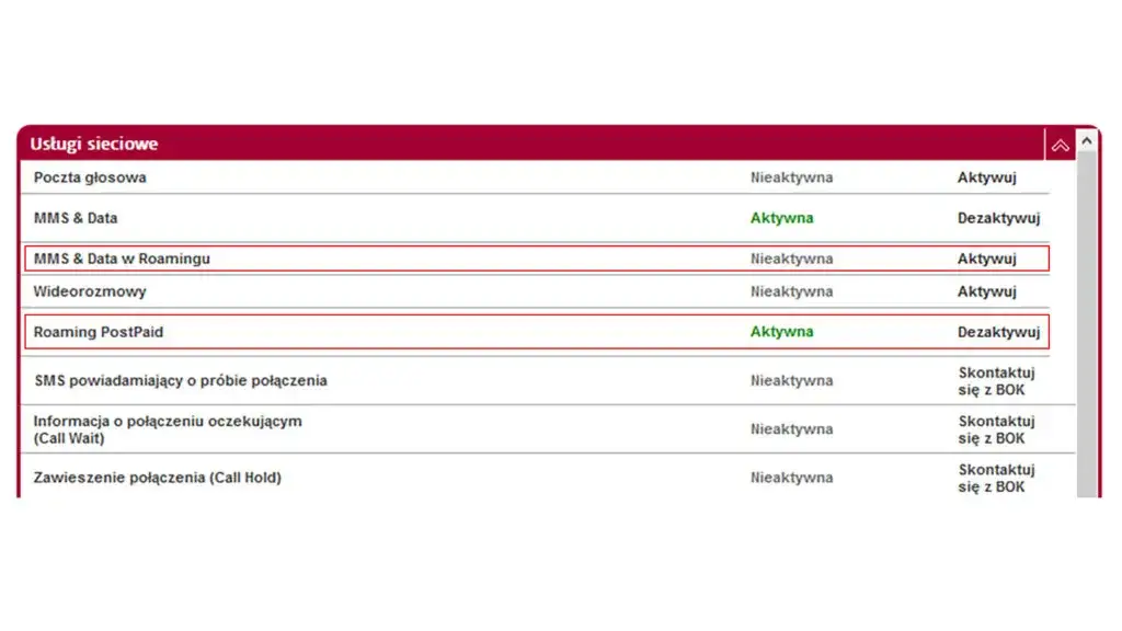 Czy w Czechach jest roaming? Kluczowe informacje, które musisz znać