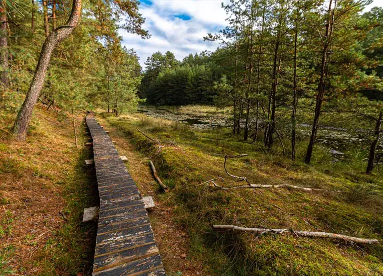 Najciekawsze atrakcje w Dobroniu, które musisz odwiedzić na weekend