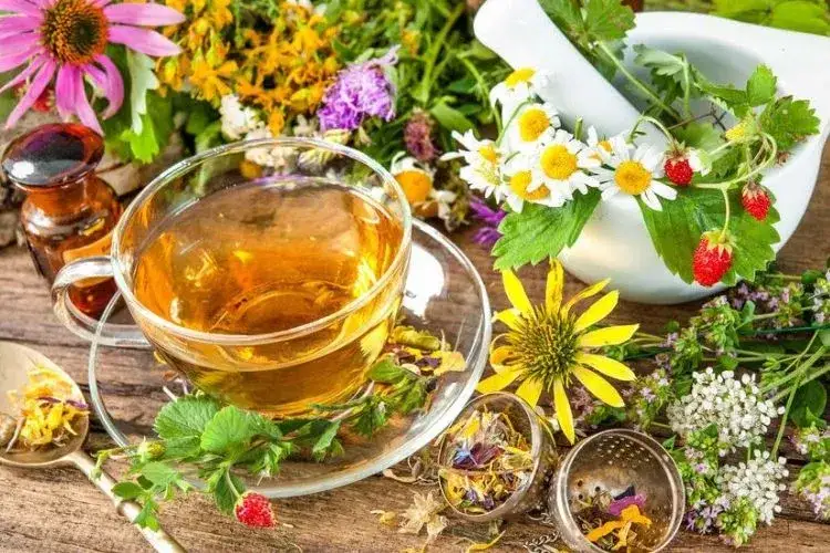 Jaka herbata na obniżenie cholesterolu? Sprawdź skuteczne rodzaje!