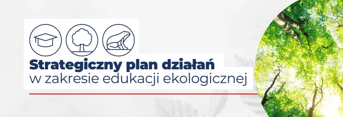 Co to jest program działań edukacyjnych i jak wpływa na uczniów?
