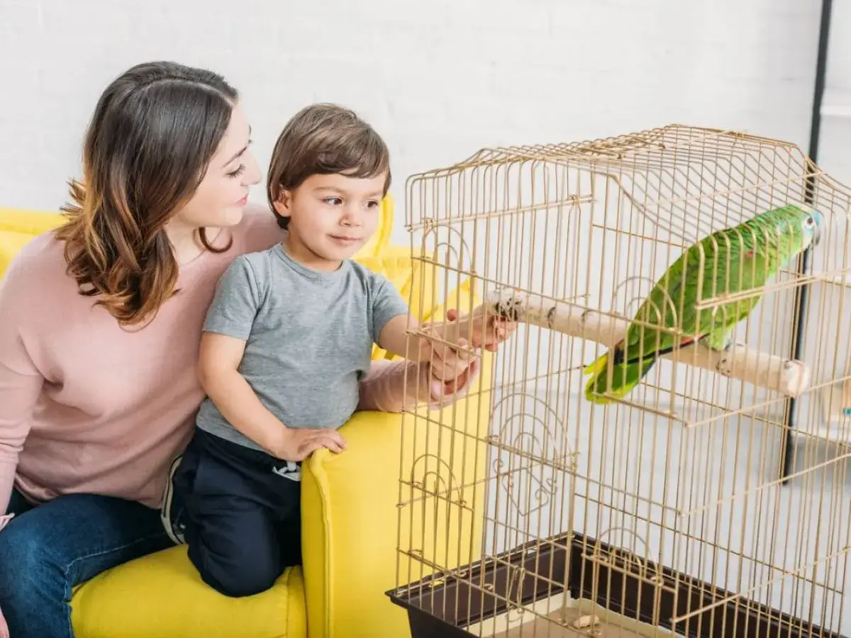 Co potrafią robić ptaki w Familiadzie? Zaskakujące odpowiedzi!