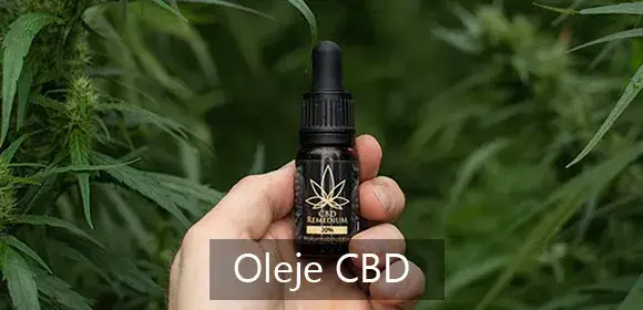 Naturalnie z konopi - wybór produktów, które poprawią Twoje samopoczucie