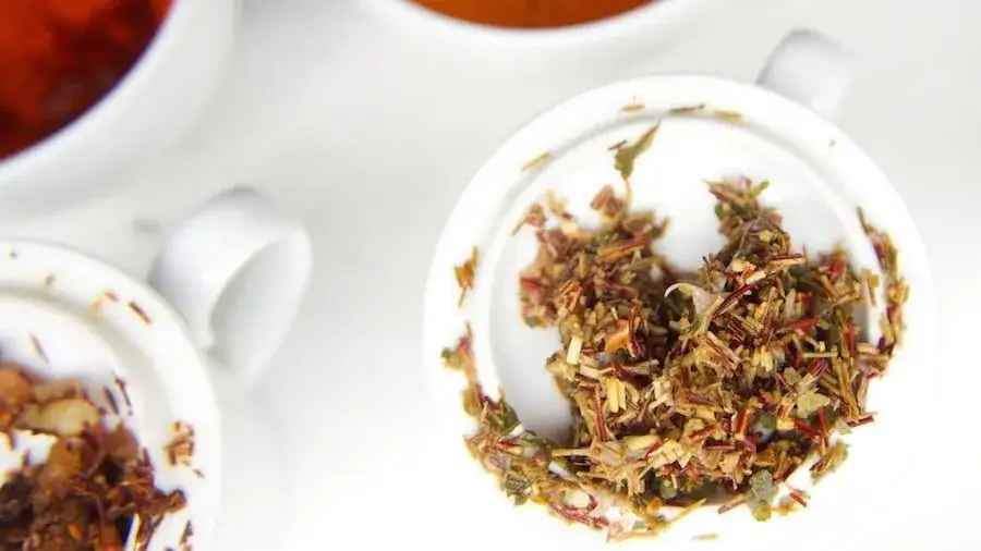 Jak powstaje herbata - poznaj sekrety produkcji i smaku różnych herbat