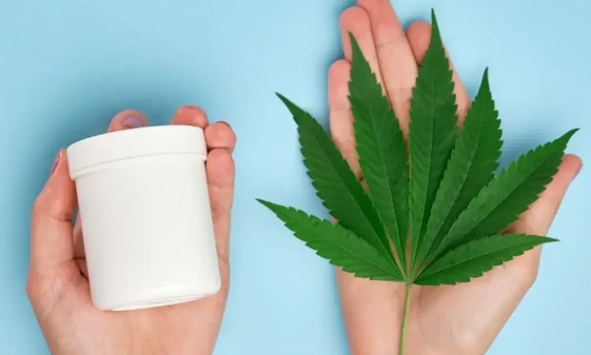 Herbatka z konopi - zdrowotne korzyści i skutki uboczne, które warto znać