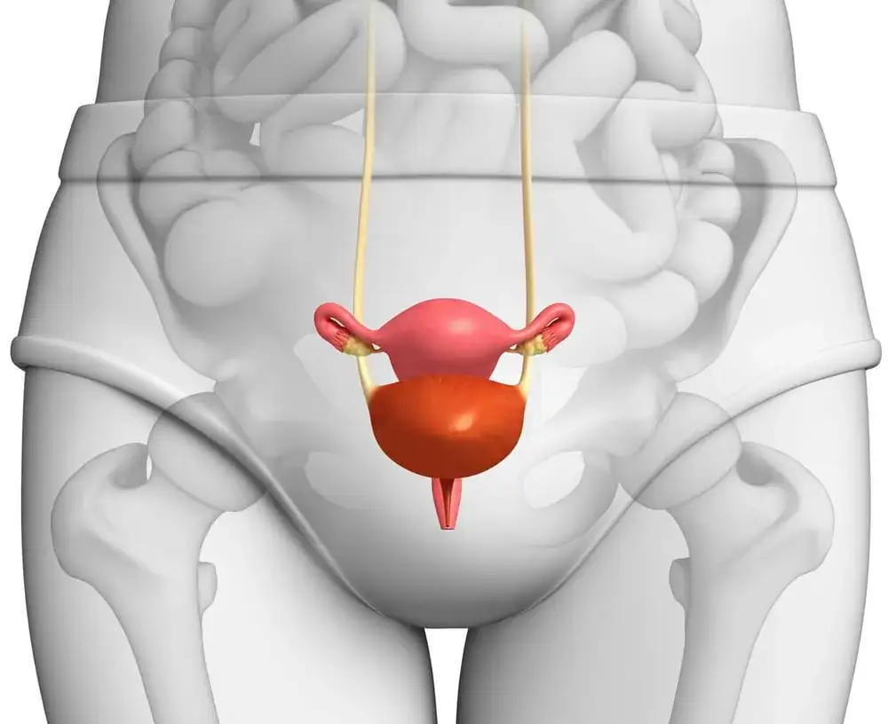Leczenie zapalenia cewki moczowej: Co naprawdę działa?