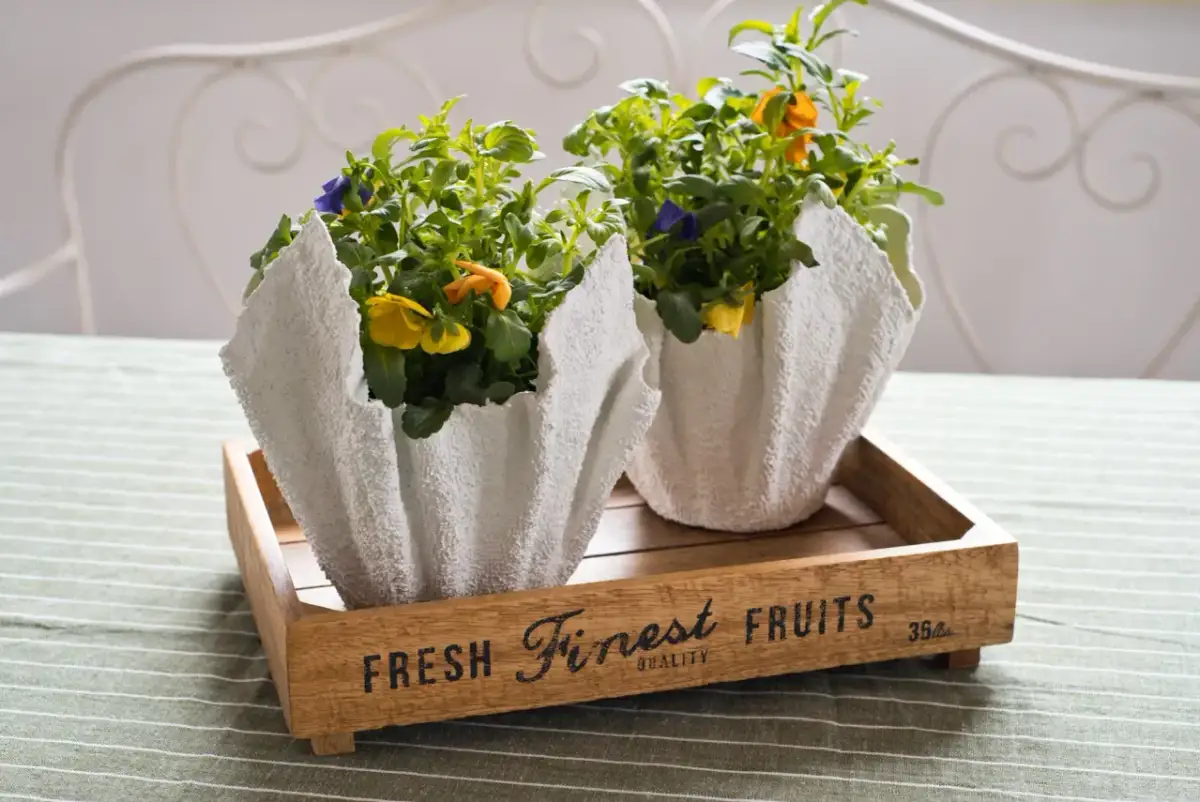 Dwie doniczki z gipsu, w których rosną bratki, stoją na drewnianej skrzynce. To prosty sposób, jak zrobić doniczkę z gipsu.