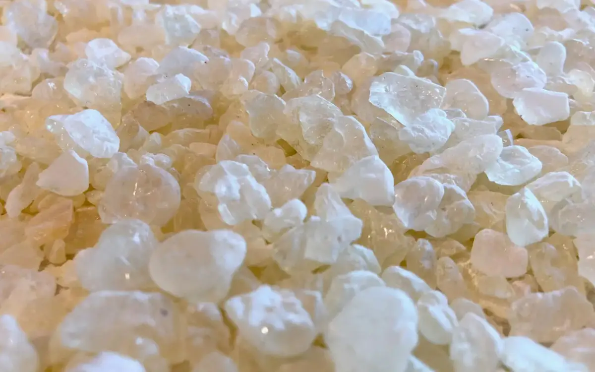 Kryształki żywicy, przypominające kamyki. Czy to mastika przed czy po jedzeniu?