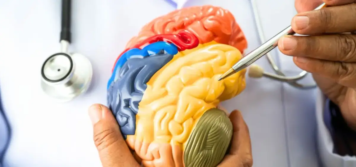 Rehabilitacja neurologiczna: Jak mózg leczy się sam?