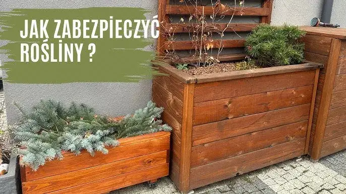 Jak zrobić termo donice, które ochronią rośliny przed zimnem