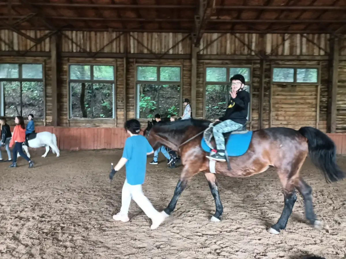 Black Horse Team Gdańsk Owczarnia: Jazda konna i pensjonat