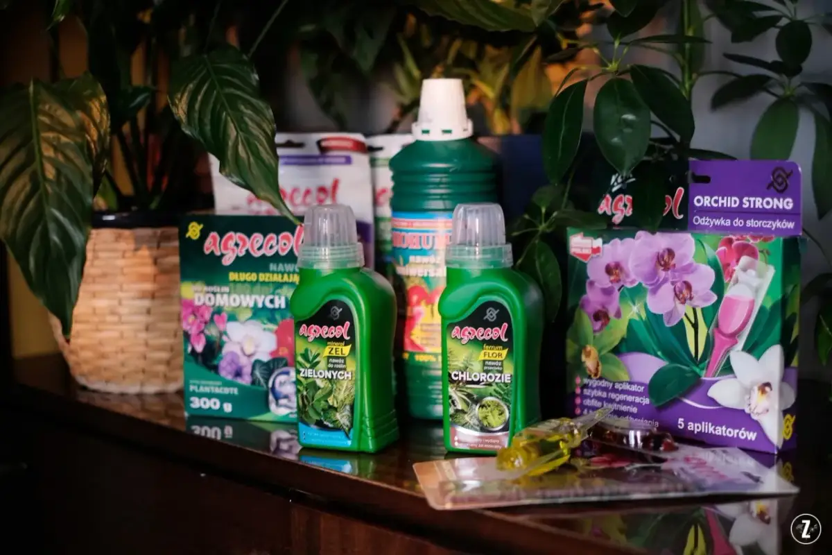 Nawozy do roślin doniczkowych: przewodnik po NPK i potrzebach roślin