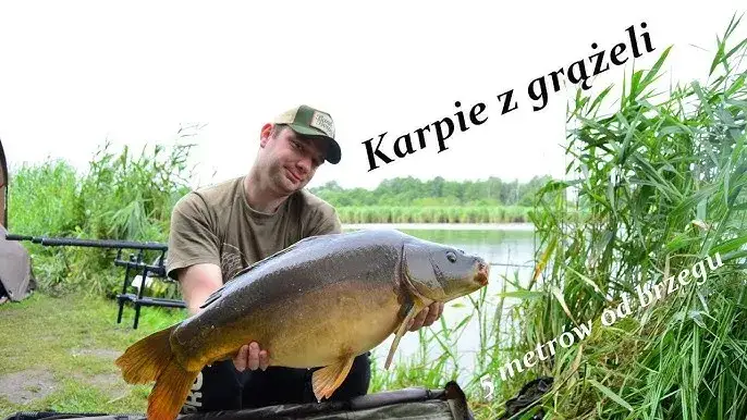 Cicha Woda: Jak złowić karpia życia? Przewodnik po łowisku.
