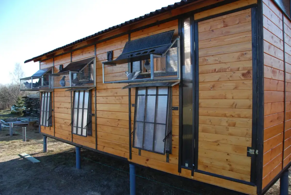 Budowa gołębnika: Ile wydasz? Szczegółowy kosztorys od A do Z