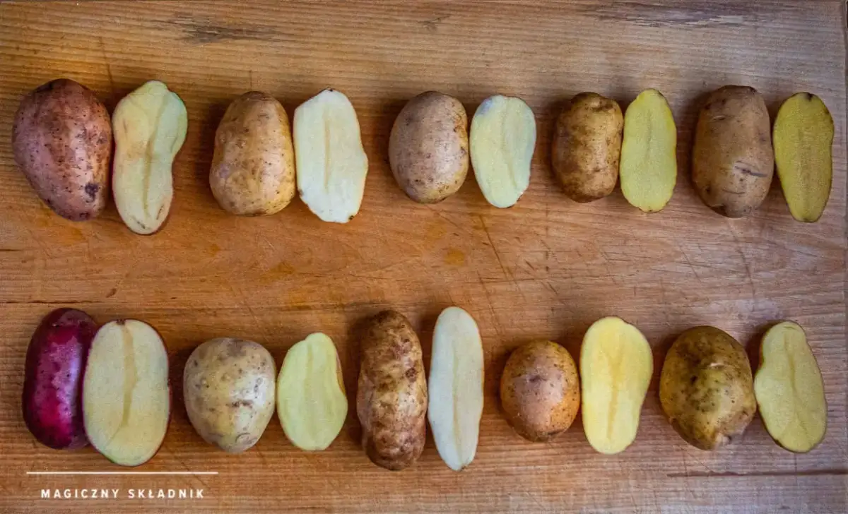 Jakie ziemniaki na frytki? Agria, Vineta i sekret chrupkości