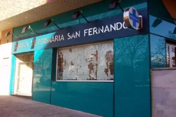 Veterinario San Fernando: Encuentra el mejor servicio para tu mascota