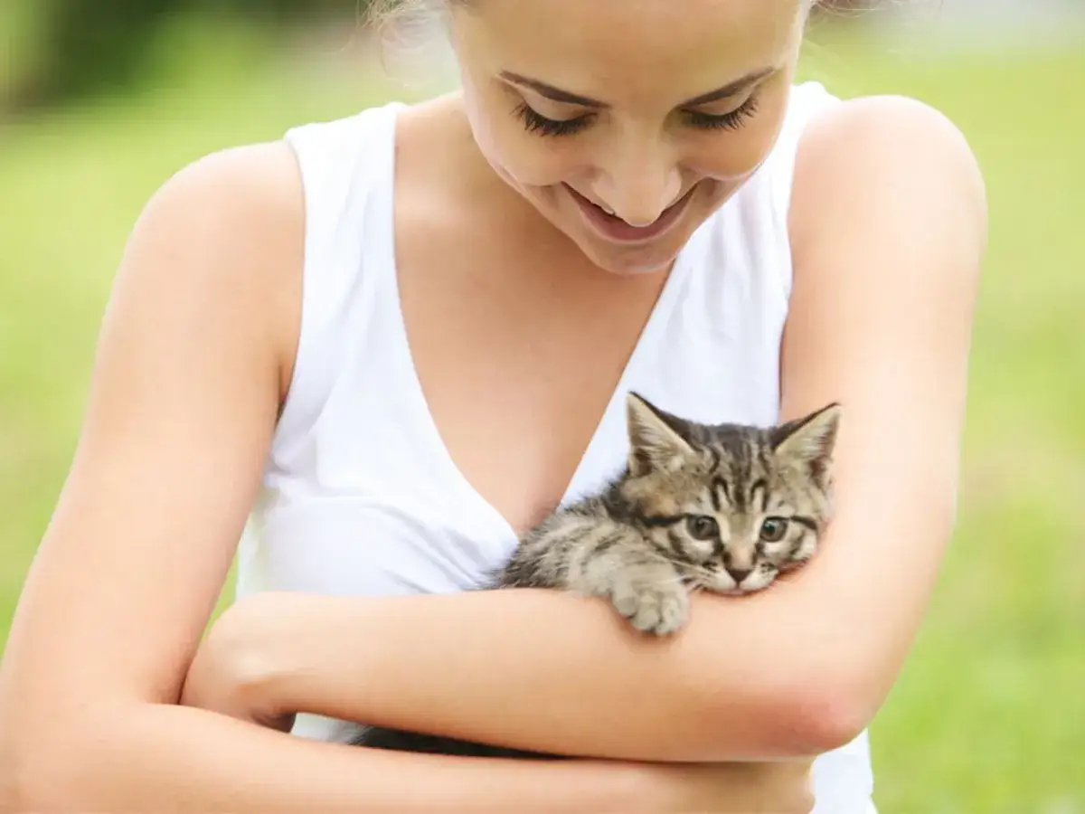 Jak opiekować się małym kotkiem bez matki - skuteczne metody i porady