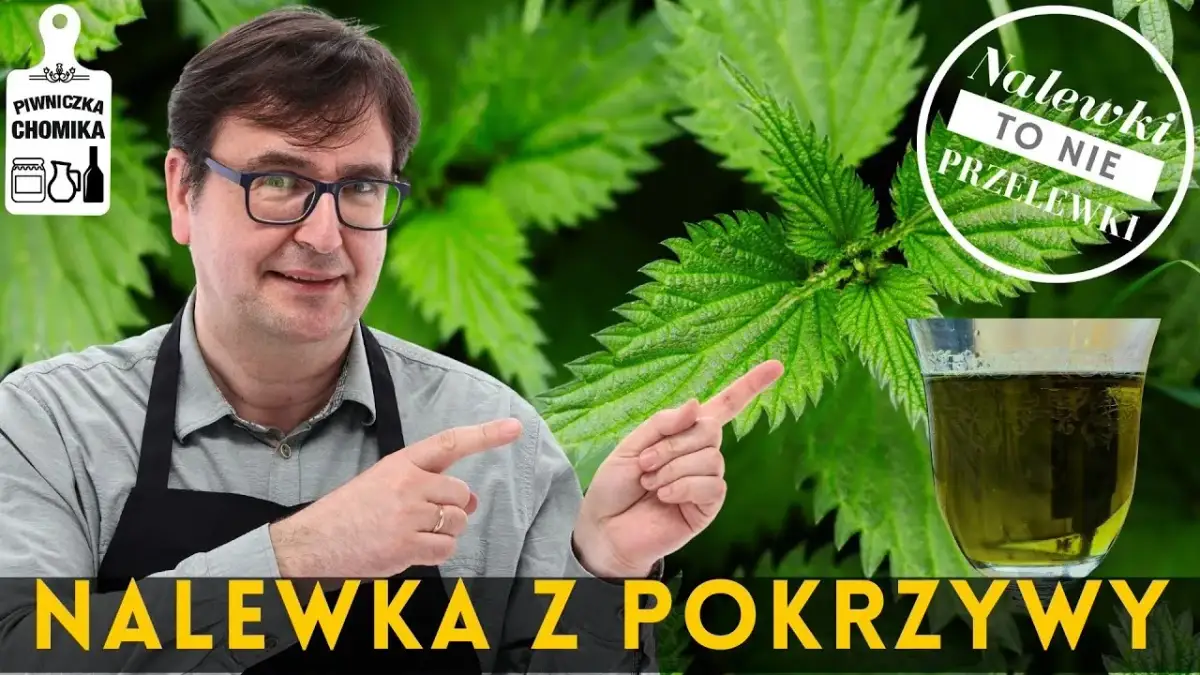 Jak zrobić nalewkę z pokrzywy – prosty przepis na zdrowy napój