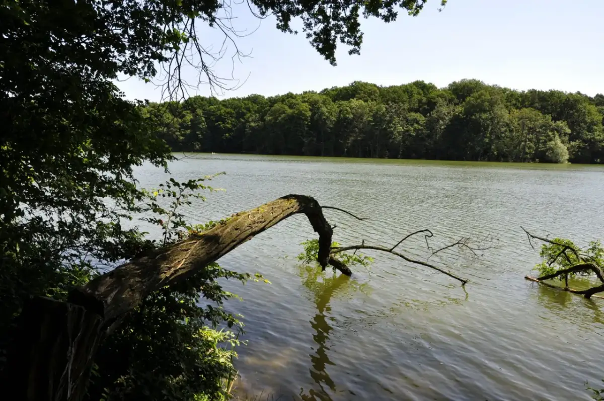 Jezioro Głębokie: Opłaty za wędkowanie i kluczowe zasady do znajomości